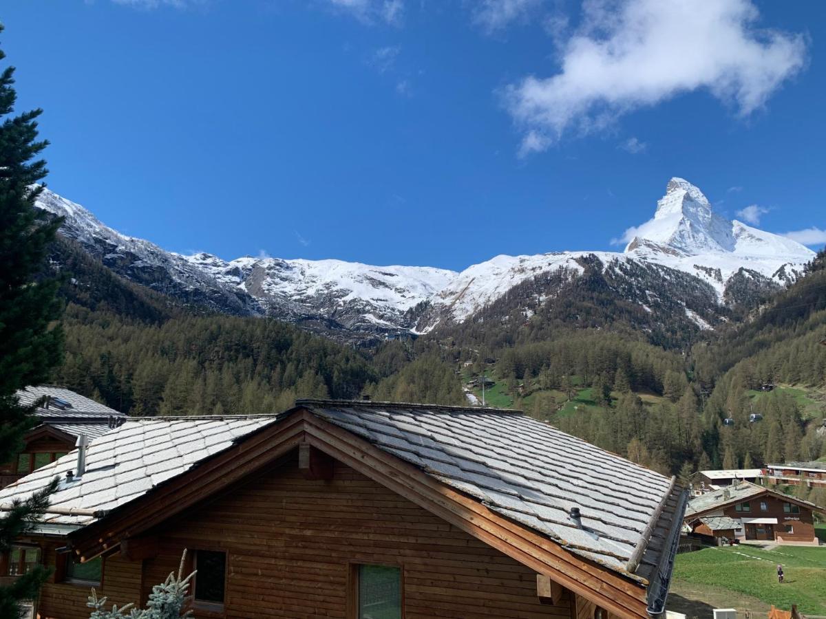 Matterhorn Panorama Apartment 采尔马特 外观 照片
